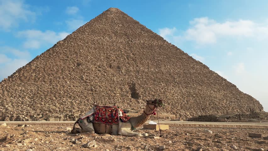 Camel Resting in Front of the Great Pyramid of Khufu at Giza Necropolis