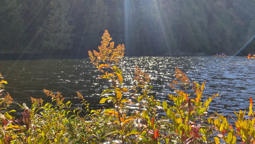Sun rays illuminate sparkling water beyond orange autumn leaves at Achray in Algonquin Park, Ontario, with distant canoes on the Barron River and a fishing line visible in the foreground.