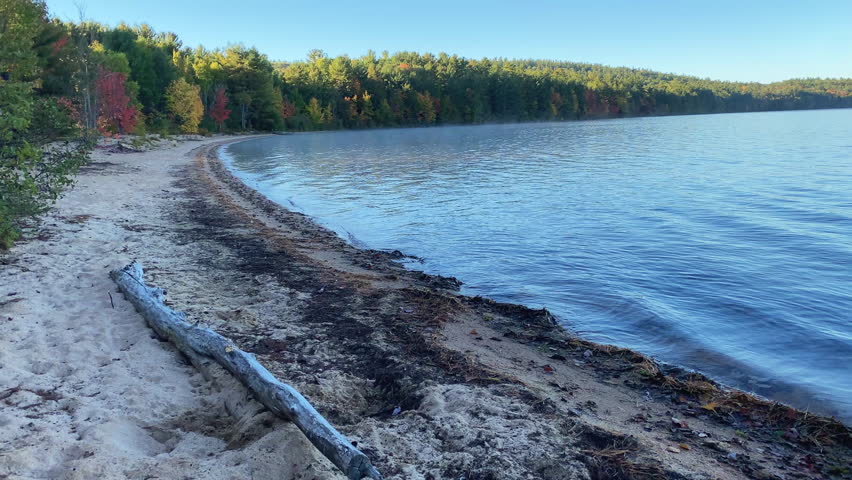 A weathered driftwood log rests on the sandy shore of Grand Lake near the Jack Pine Trail at Achray