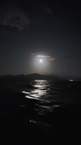 Moonlit Ocean Landscape at Night