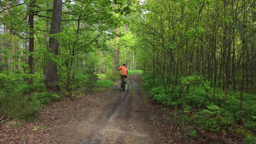 Cyclist riding mountain bike on woodland trail outdoors