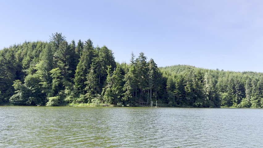 Point of view footage of pontoon boat ride on tenmile lake in oregon, going by trees and shoreline during a blue sky day.