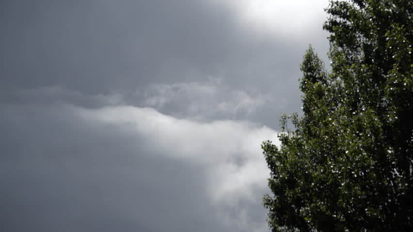Dark and threatening storm clouds pass green leaves on a tree swaying in the wind.