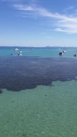 Vertical 4K drone footage of Keppel Island Queensland Australia. Tropical island beach and coral reef from above.