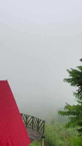 Rolling green hills covered with grass and vegetation under moving fog and clouds in tropical mountain landscape, creating a serene, dramatic countryside view of lush green hills under a partly cloudy sky, sierra, green meadow.