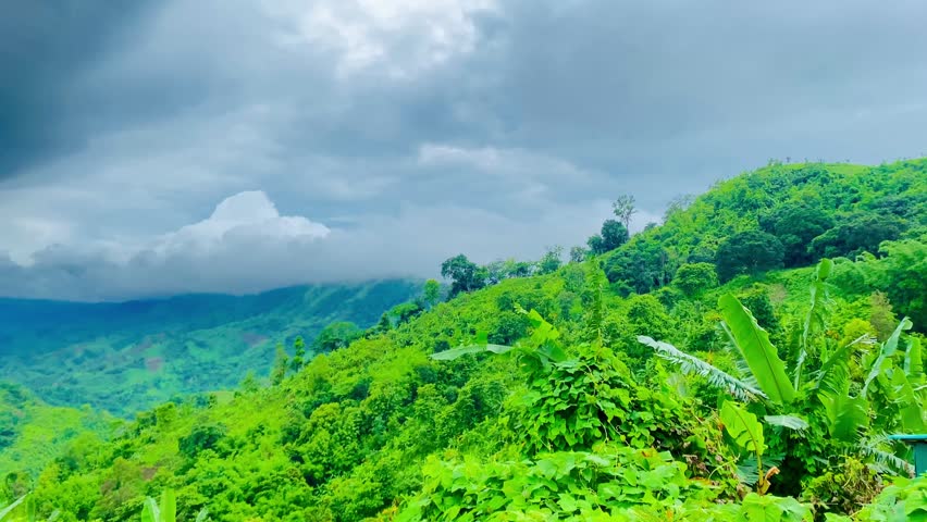 Rolling green hills covered with grass and vegetation under moving fog and clouds in tropical mountain landscape, creating a serene, dramatic countryside view of lush green hills under a partly cloudy sky, sierra, green meadow.