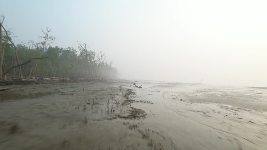 Low drone view of a muddy, foggy beach near a coastal forest in bangladesh