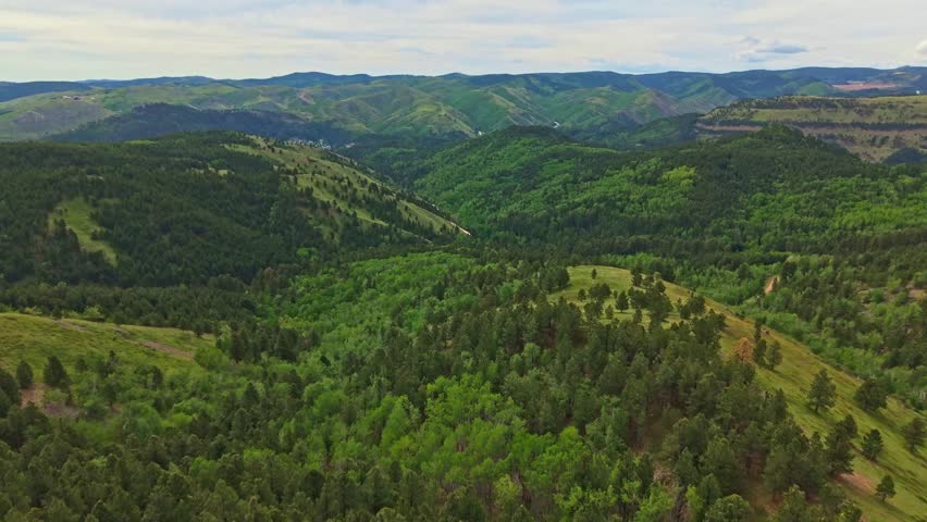 Scenic aerial view of Black Hills National Forest in South Dakota illuminated by warm sunset light