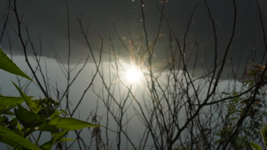 Morning sunlight reflecting across a quiet lakeside viewed through natural branches creating a peaceful woodland atmosphere