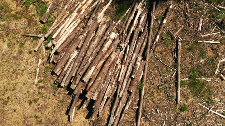 Drone shot of a forrest near Portland Oregon 