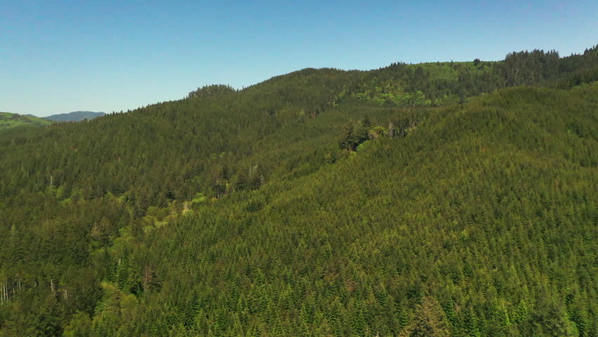 Drone shot of a forrest near Portland Oregon 
