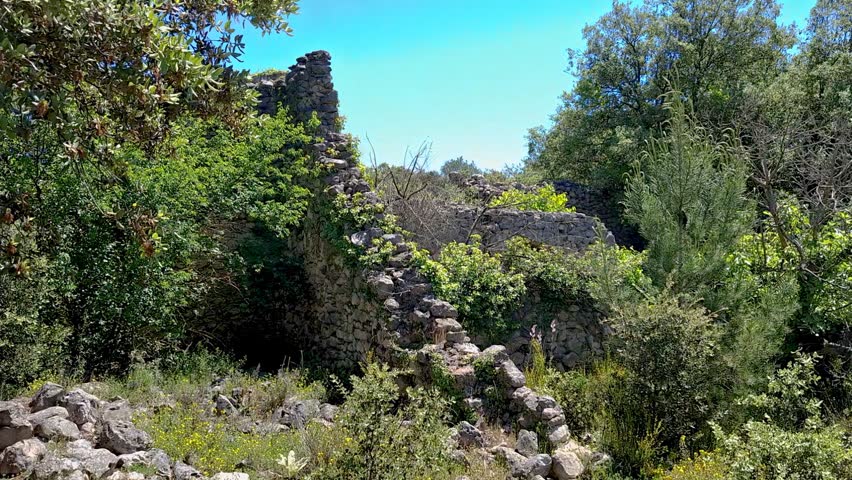 Ancient Moorish stone walls overgrown with lush green ivy in Spain