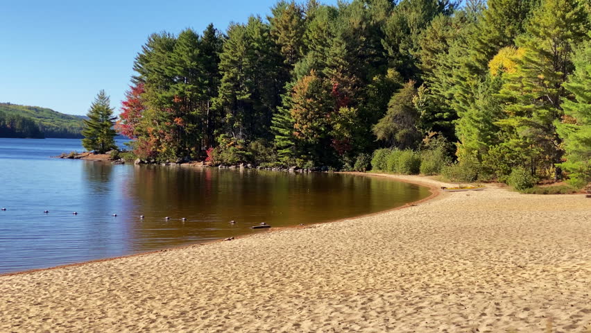 View of a sandy beach on Grand Lake at Achray in Algonquin Park, with evergreen trees, hints of autumn color, and calm lake water.