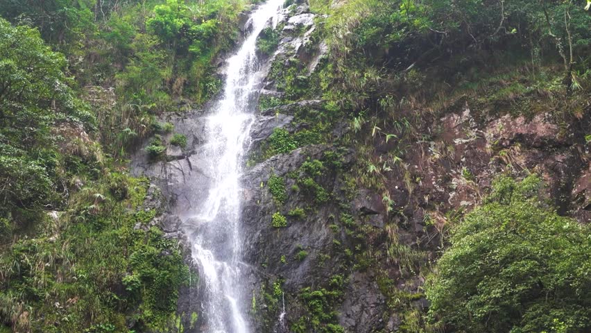 A small waterfall in the mountain Hong Kong Island rainforest. Ferns and vines that prefer damp places around