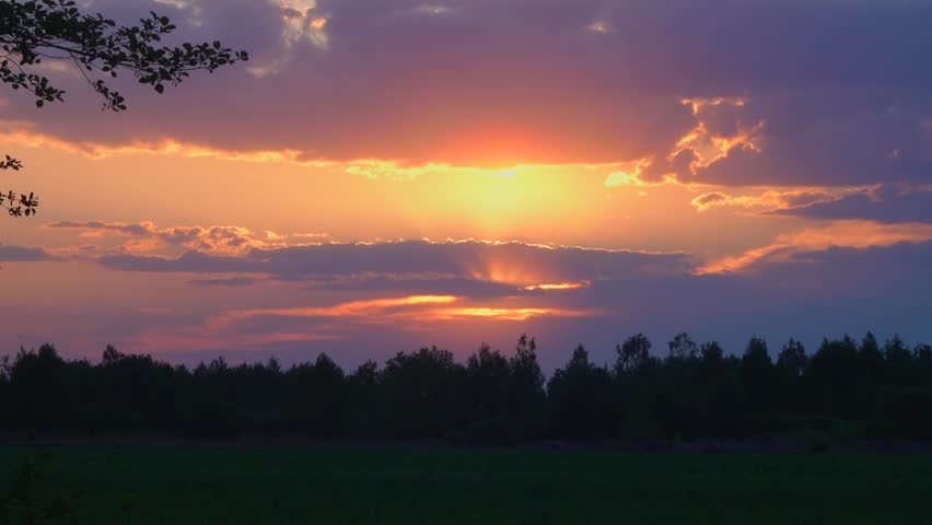 Beautiful sunset over the forest.