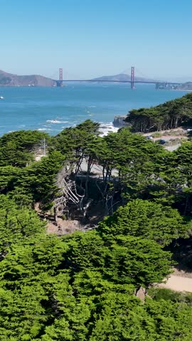 Golden Gate Park At San Francisco In California United States. Downtown City Skyline. Transportation Scenery. Golden Gate Park At San Francisco In California United States.