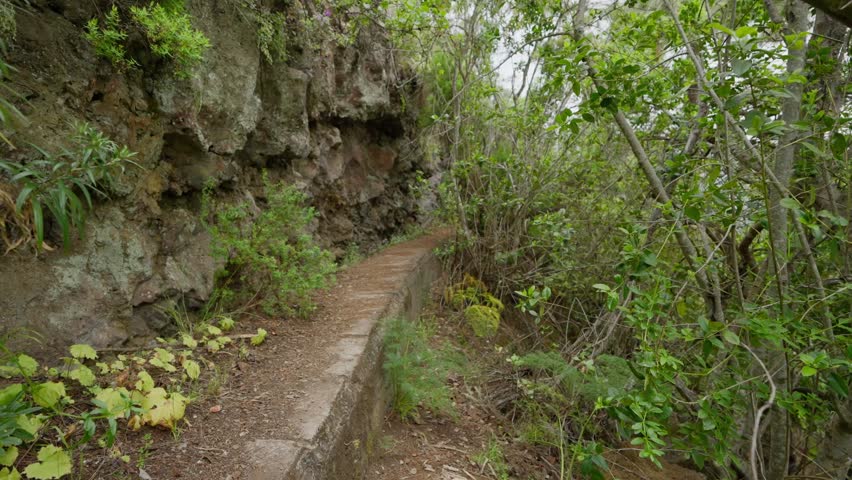 A stone canal path winds through misty green forest toward distant mountains