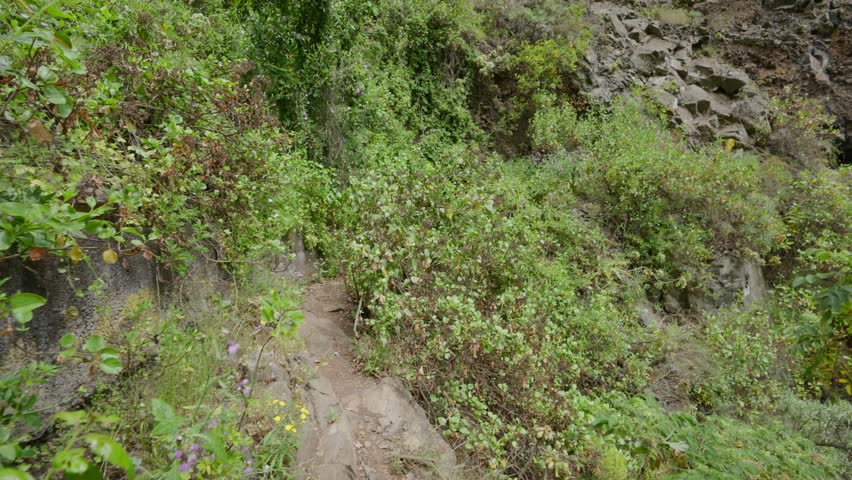 A stone canal path winds through misty green forest toward distant mountains