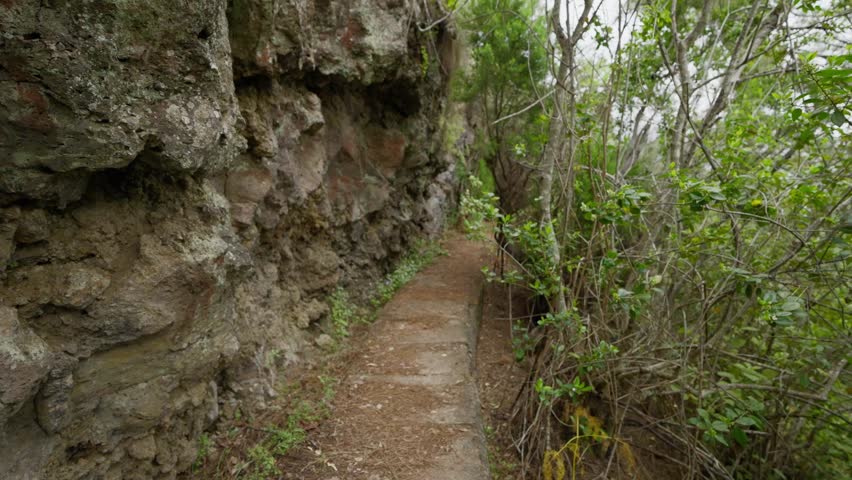 A stone canal path winds through misty green forest toward distant mountains