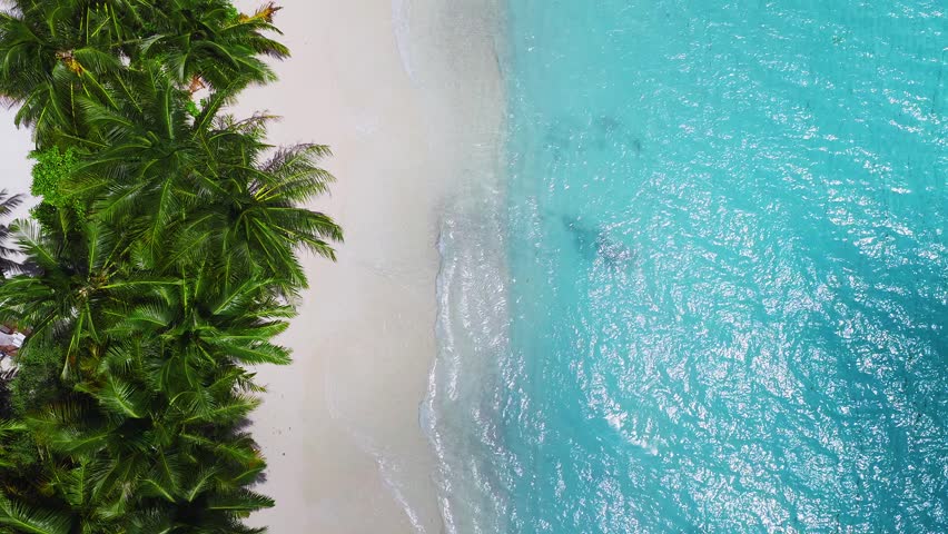 Aerial top down view of Dhigurah, Maldives, with coconut palms, white beach, turquoise lagoon, sun glints, reef shadows, and a small beached snorkeling catamaran.