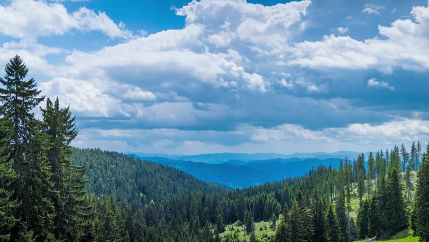 Mountain valley with meadows and spruce forests against the backdrop of a daytime cloudy sky