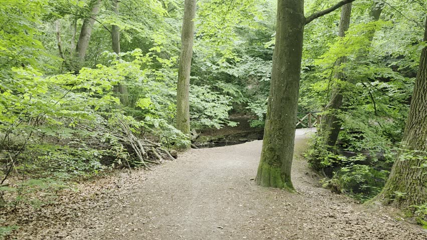 Walking up to a bridge on a path in a serene woodland park