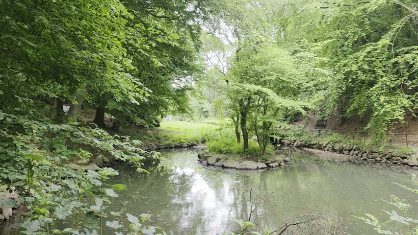The rain falling gently on a forest lake in the park