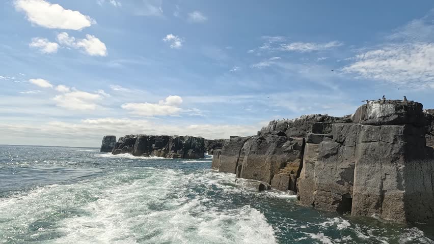 Motoring away from Staple Island beneath a sky alive with seabirds on a sunny Farne Islands wildlife tour. A perfect end to an unforgettable birdwatching adventure.