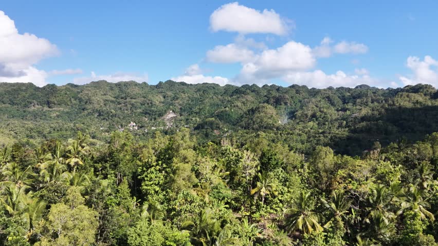 Wide video view of forest hills under blue sky with clouds
