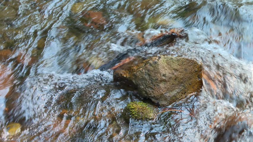A Rushing Stream Flows Over Rocks Along Forest Trails In Lassen Volcanic National Park, California, USA. Close-up Shot