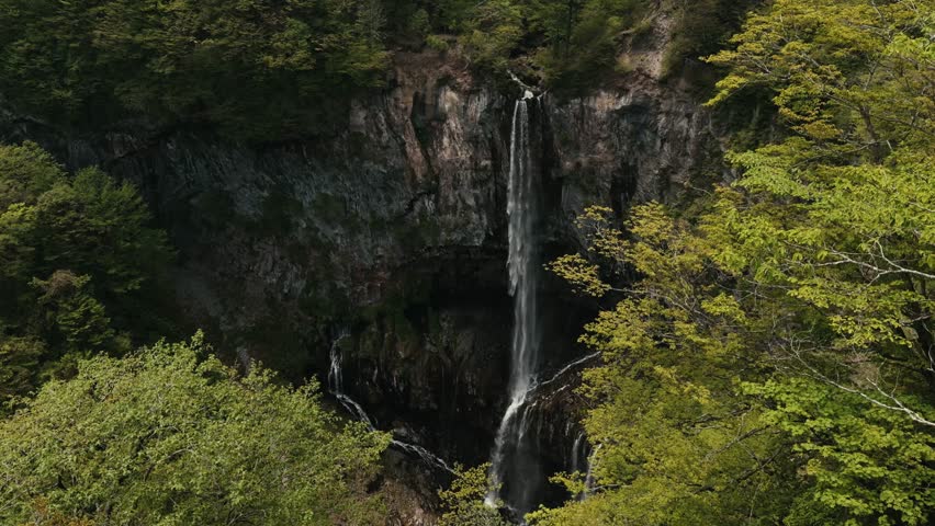 A breathtaking wide shot of a tall waterfall plunging into a deep canyon surrounded by dense green forest in Nikko, Japan. Captures the scale and natural beauty of the Tochigi mountains.