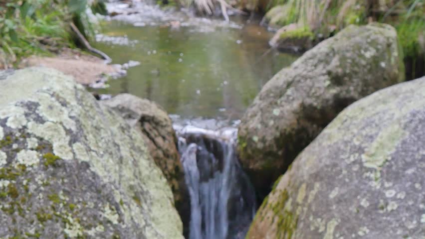 Small waterfall in a forest