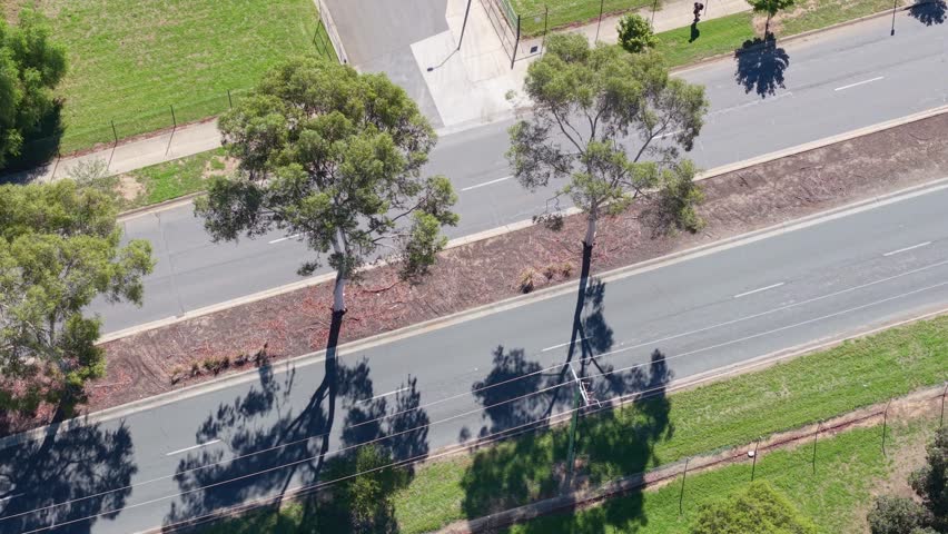 Drone top down aerial view of cars driving along a suburban road lined with eucalyptus trees in regional Victoria, Australia. Strong midday sunlight casts long tree shadows across the roadway.