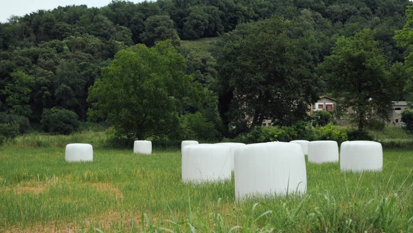 Wide shot of white plastic-wrapped hay bales scattered across a green meadow surrounded by trees and rolling hills. . High quality 4k footage
