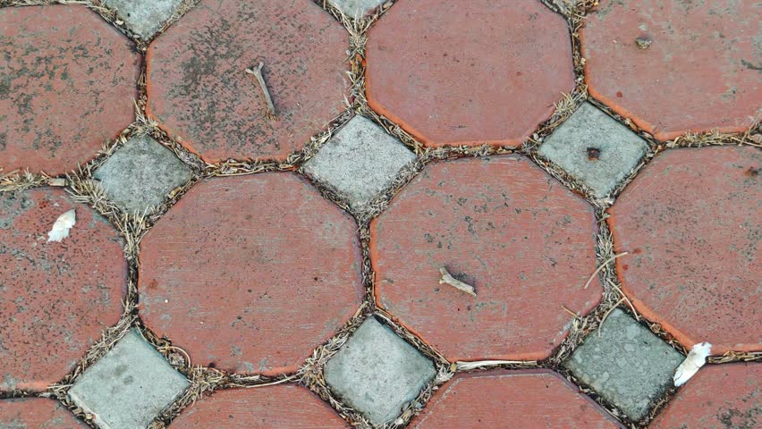 Concrete paving blocks in a public park