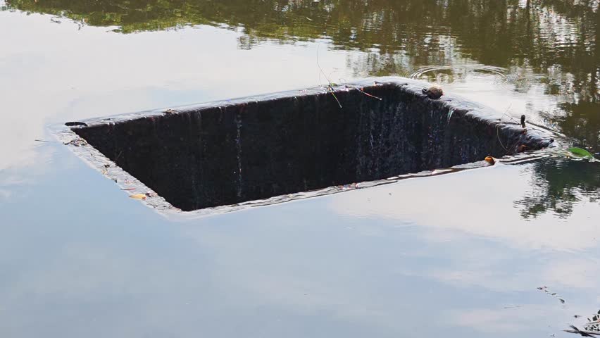 Drainage pond from a pond in a public park