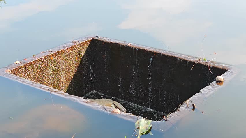 Drainage pond from a pond in a public park
