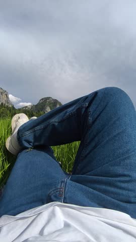 A lush green meadow in the mountains, dotted with wildflowers, with rocky peaks and a cloudy sky in the background