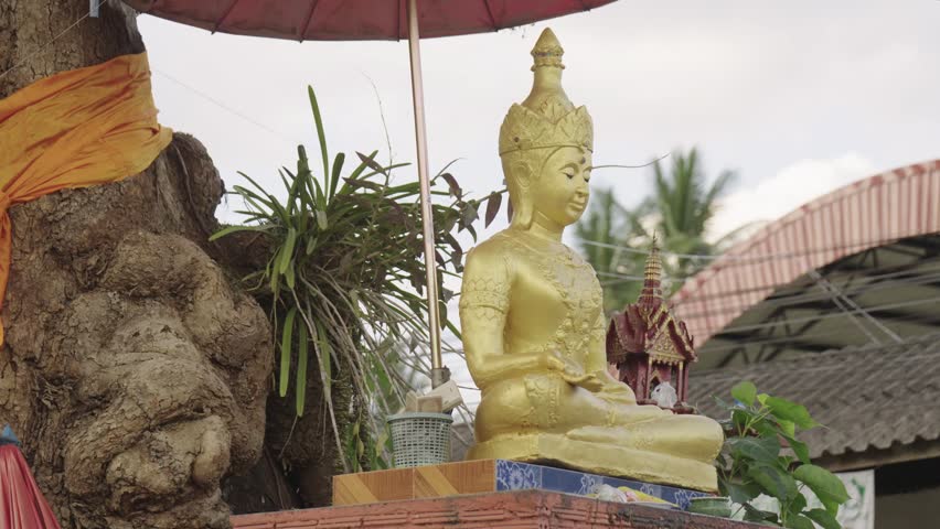 Low angle view of a golden seated Buddha statue sheltered by a red ceremonial umbrella beneath a large sacred tree at a Buddhist shrine in Thailand. Temple spire and cloudy sky in background.