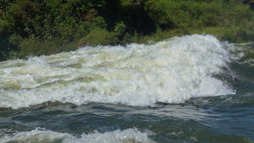 White water rapids rushing with immense force at the iguazu falls. A powerful cascade surrounded by lush green tropical vegetation