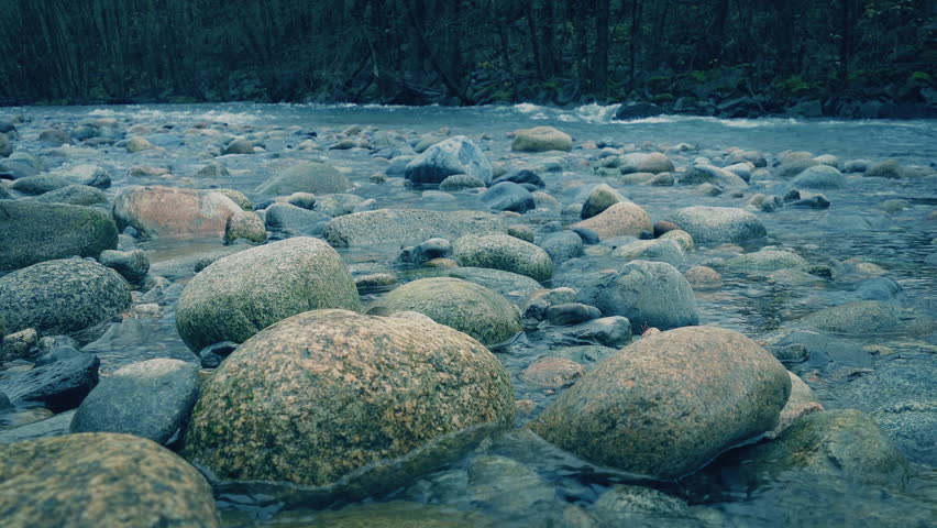 Rocky River In The Forest Moving Shot