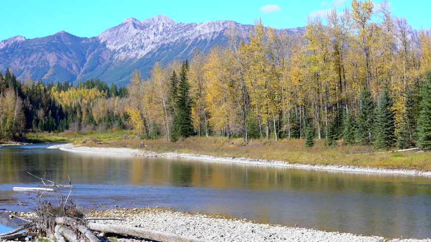 Elk River Rocky Mountains Autumn 4K UHD. Elk River, near Fernie, along Highway No. 3 in autumn. British Columbia, Canada.
