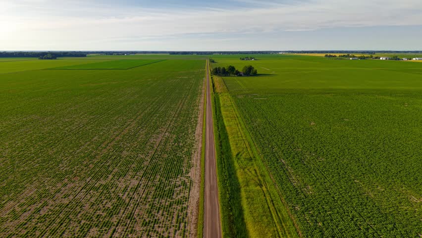 Aerial view moving forward along a long, straight dirt road dividing green agricultural fields in Michigan.