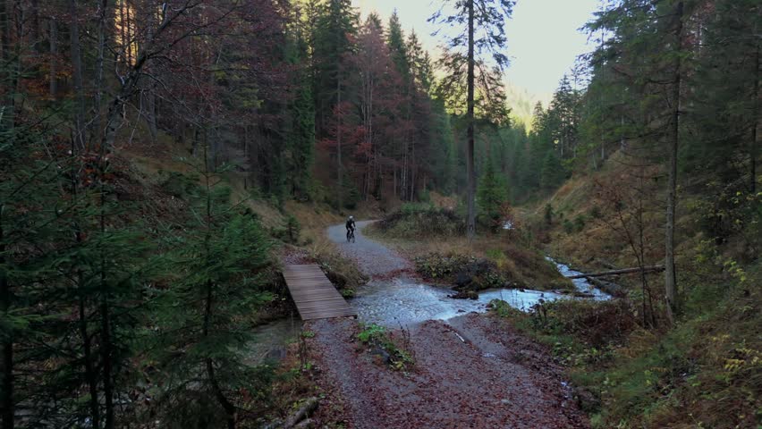 Cyclist on a gravel bike crosses a rustic bridge in the Bavarian Alps, navigating a winding forest trail during autumn. A serene and scenic adventure through the natural beauty of southern Germany. 