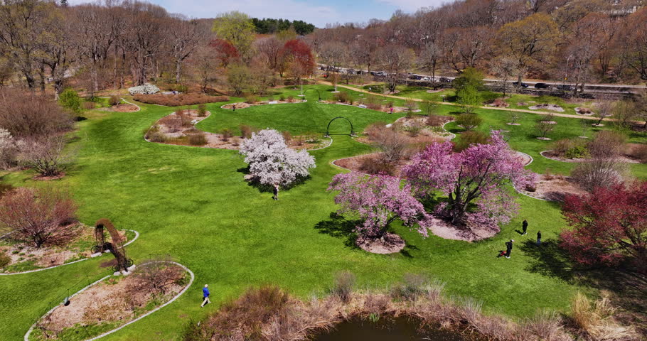 Aerial View of the Arnold Arboretum During Peak Spring in Boston Massachusetts