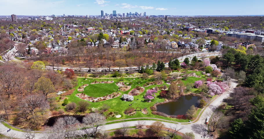 Aerial View of the Arnold Arboretum During Peak Spring in Boston Massachusetts
