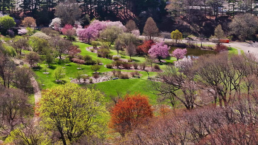 Aerial View of the Arnold Arboretum During Peak Spring in Boston Massachusetts
