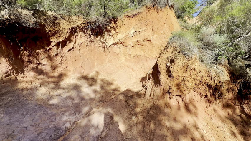 Eroded red and orange ochre embankment with exposed tree roots and shrubs in dappled sunlight at the Colorado Provençal near Rustrel in the Luberon, Provence