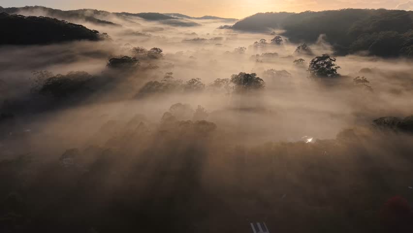 Beautiful foggy morning view in the mountain.