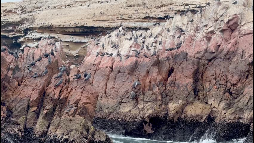 Seabirds glide above jagged rocks in Pacific Ocean under overcast skies at Ballestas Islands, Peru.